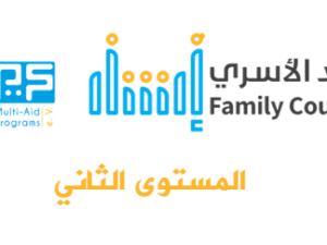 المستوى الثاني